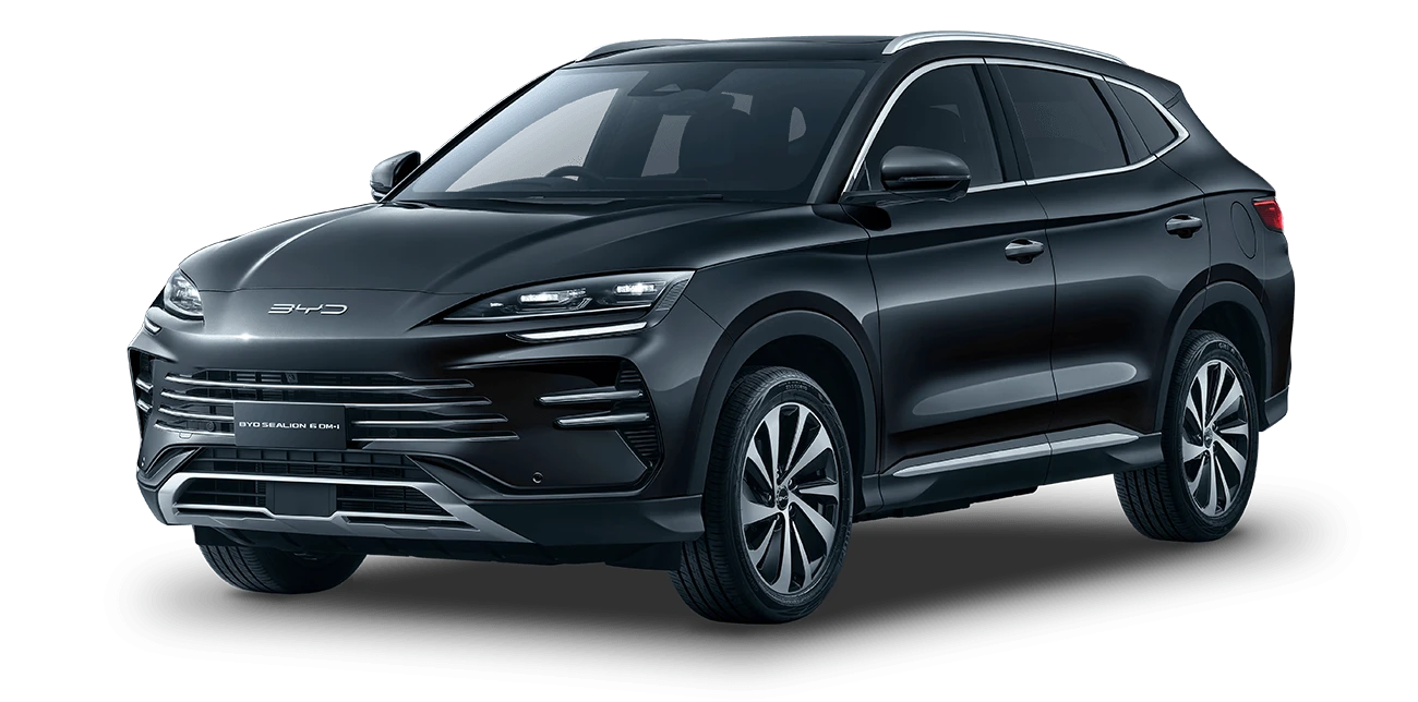 Selion 6 2025