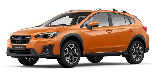 XV 2019
